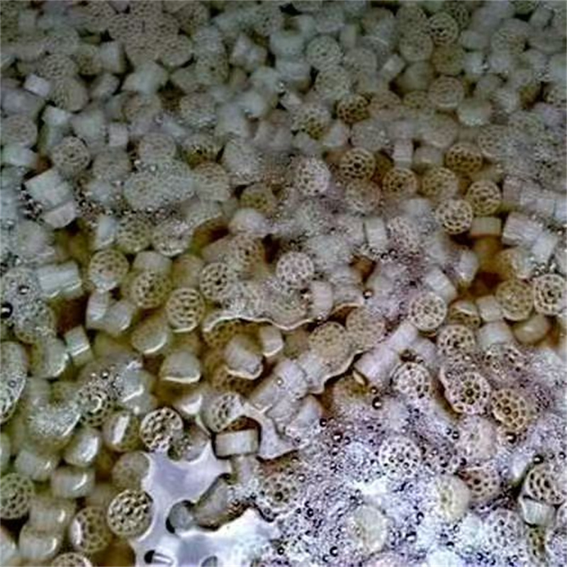 media filter biologis untuk kolam